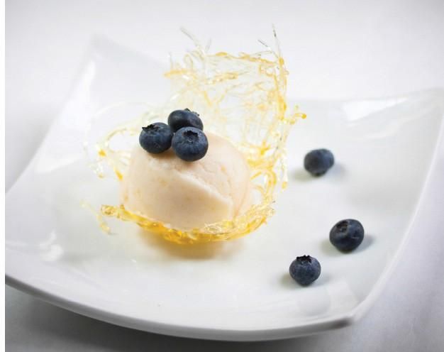 SUGAR NESTS