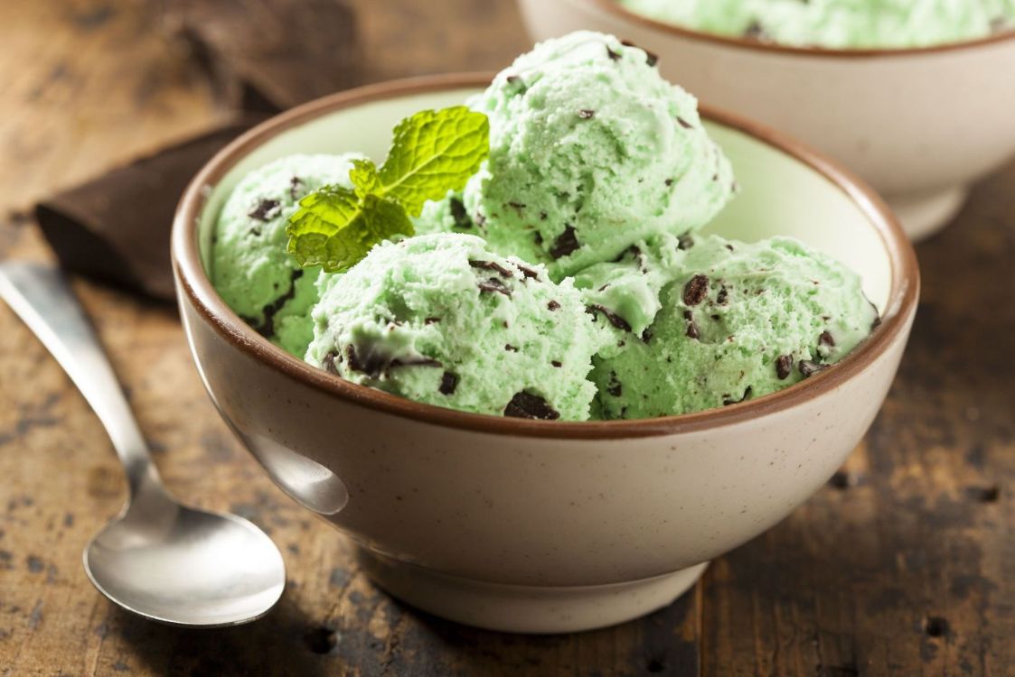 MINT CHOCOLATE CHIP ICE CREAM