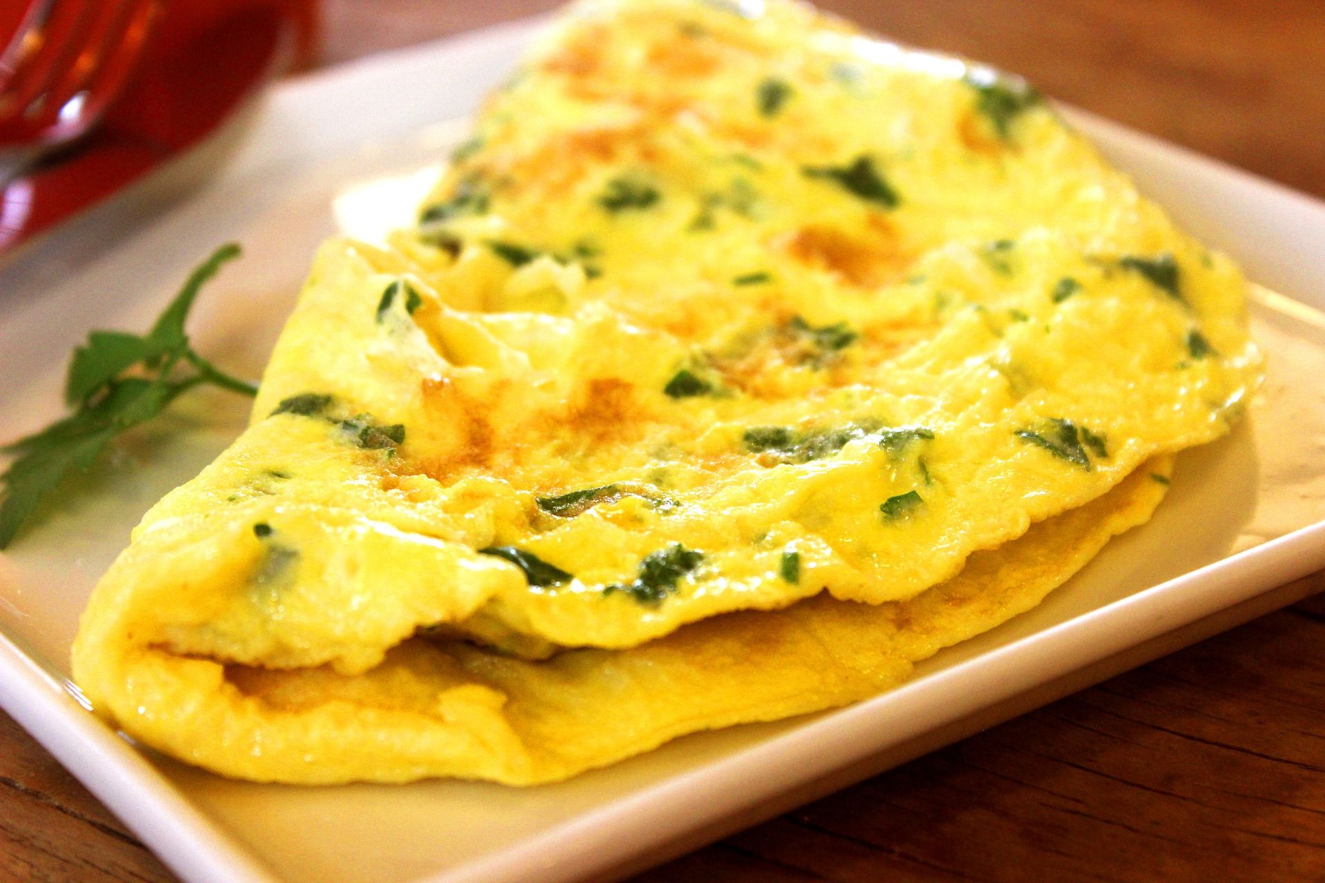 GARDEN-FRESH OMELETS