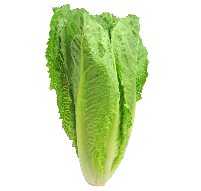 GRILLED ROMAINE