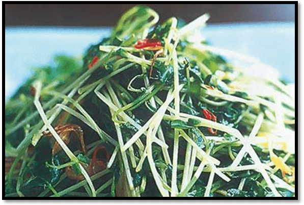 Garlic snow pea sprouts