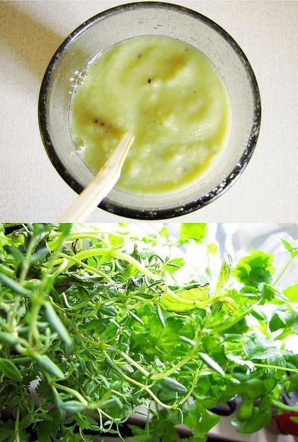 The Calming Vanilla Pear Smoothie