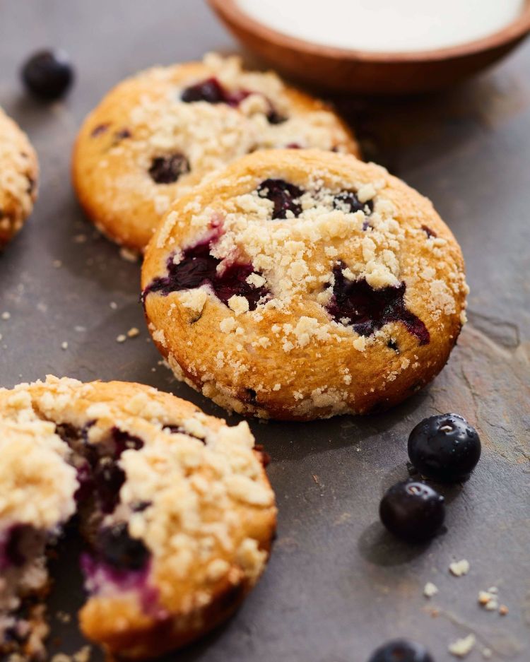 BLUEBERRY COCONUT FLOUR MUFFINS